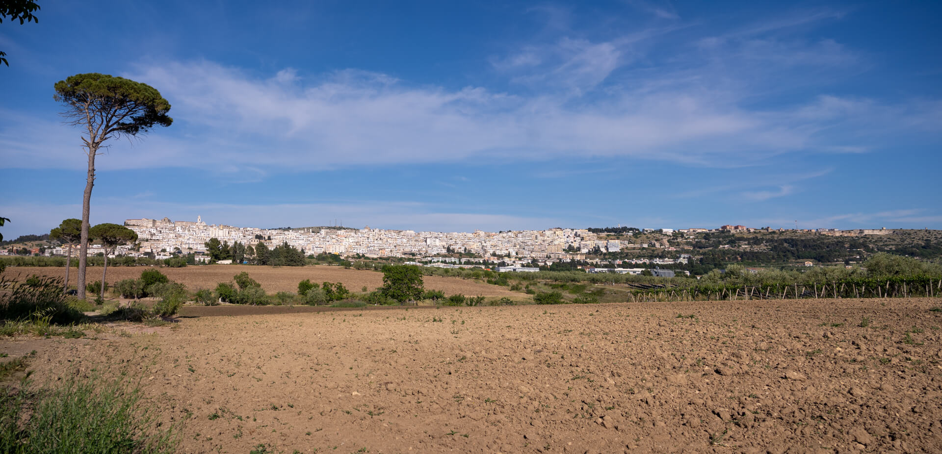 oleificio-renna-srl (2)